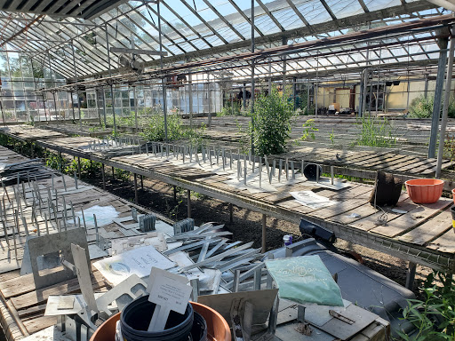 Florist «Kinsch Village Florist & Garden Center», reviews and photos, 301 Johnson St, Palatine, IL 60067, USA