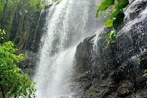 Seethampalli Bodharu waterfalls image