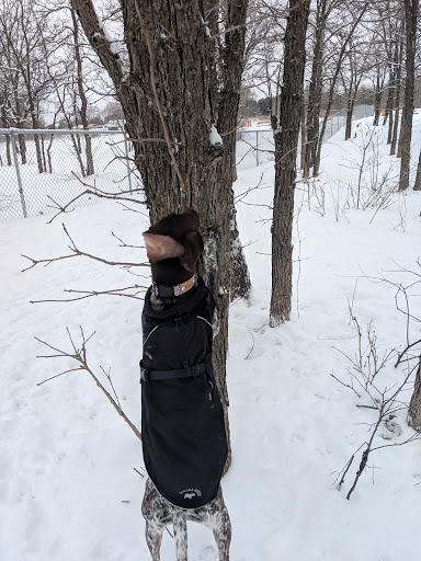 Dog Park «Bunker Hills Dog Park», reviews and photos, 1620 133rd Ave NW, Coon Rapids, MN 55448, USA