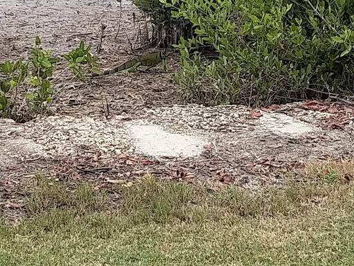 Public Golf Course «Crandon Golf at Key Biscayne», reviews and photos, 6700 Crandon Blvd, Key Biscayne, FL 33149, USA