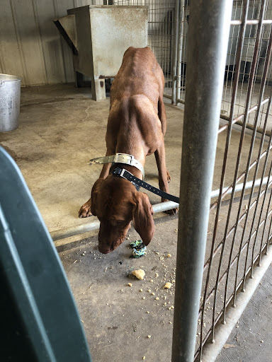 Pet Supply Store «Brown Dog Bakery», reviews and photos, 2310 SE Delaware Ave, Ankeny, IA 50021, USA