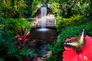 Cambridge Butterfly Conservatory