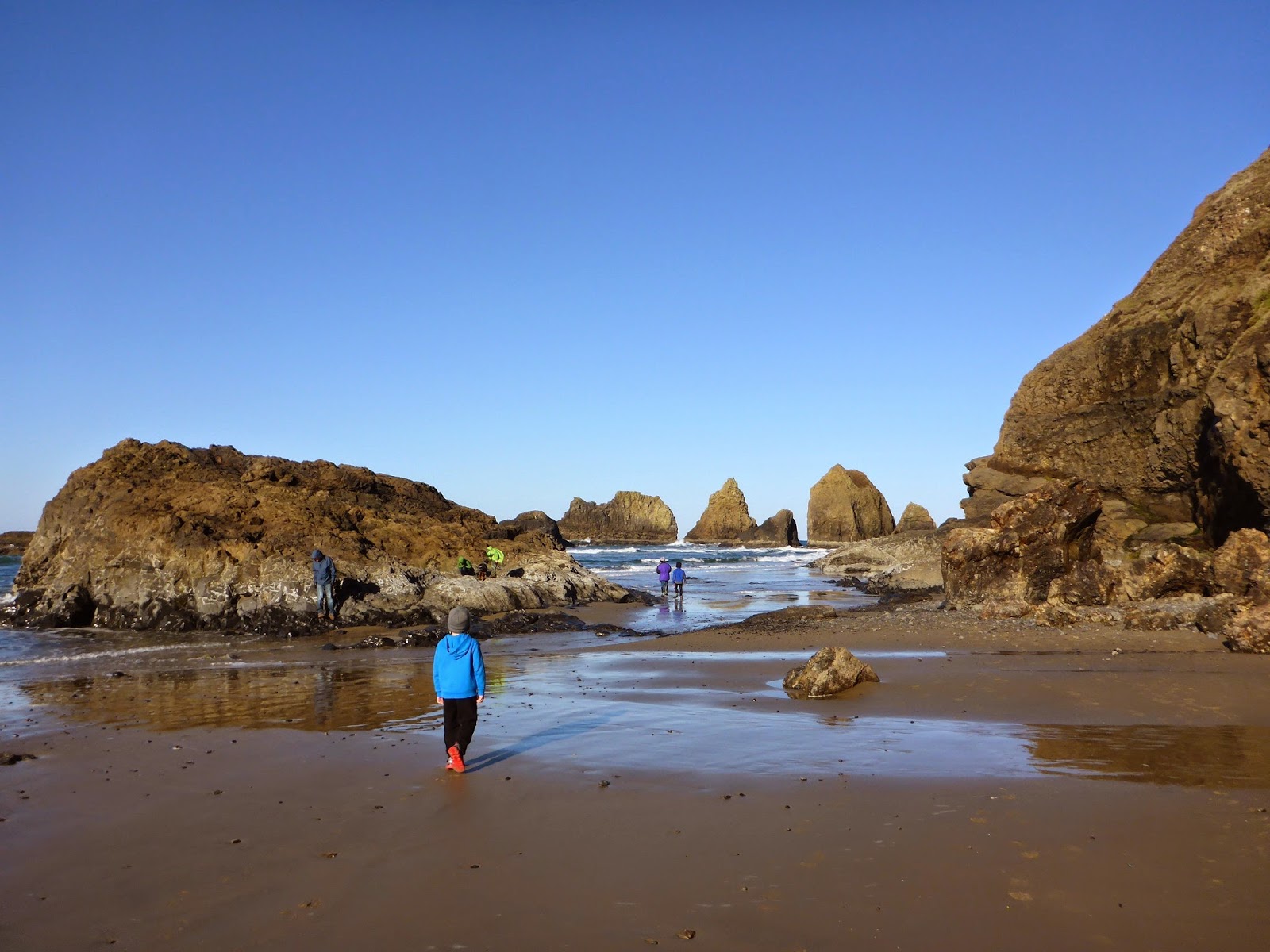 Photo of Tunnel Beach wild area