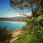 Photo n°3 de l'avis de Dani.i fait le 02/09/2016 à 19:00 sur le  Area attrezzata foxilioni à Foxi Lioni