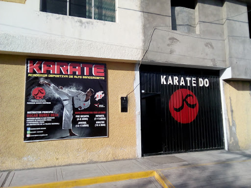 Academia Fudoshin Karate