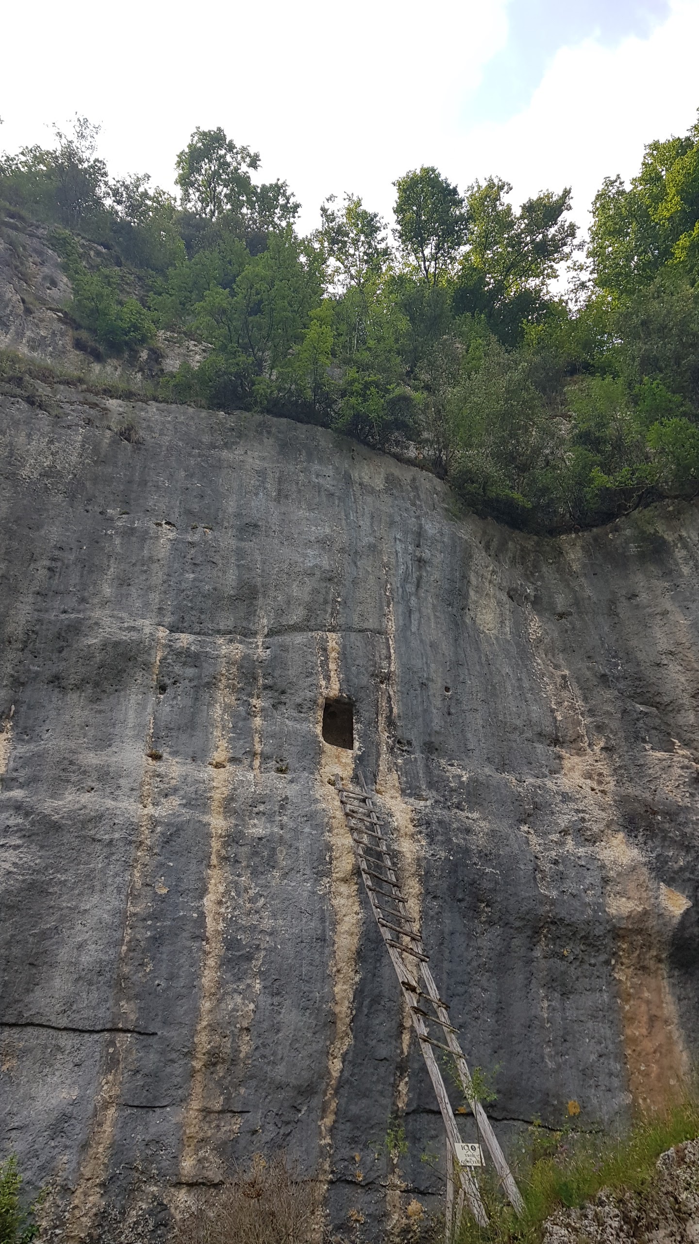 Photo n° 1 de l'avis de Pauline.e fait le 23/07/2021 à 12:19