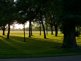 Hospital Corner Grounds