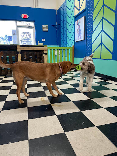 Fur- ever Friends Pet Resort and Spa