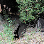 Photo n°12 de l'avis de Luigi.a fait le 23/08/2022 à 17:20 sur le  I Cedri Agriturismo Biologico à Orsomarso