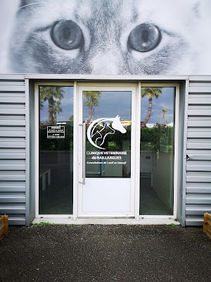 CLINIQUE VETERINAIRE DE BAILLARGUES à Baillargues