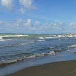 Photo n°1 de l'avis de laura.r fait le 26/11/2018 à 15:39 sur le  Tre Stelle Beach à Marina di Grosseto