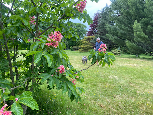 History Museum «Eustis Estate Museum and Study Center», reviews and photos, 1424 Canton Ave, Milton, MA 02186, USA