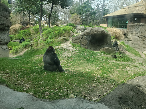 Zoo «Dallas Zoological Society», reviews and photos, 650 S R L Thornton Fwy, Dallas, TX 75203, USA
