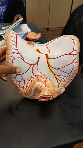 Book Store «Chattahoochee Technical College Bookstore», reviews and photos, 980 S Cobb Dr, Marietta, GA 30060, USA