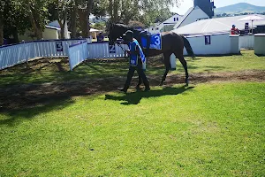Hollywoodbets Durbanville Race Course image