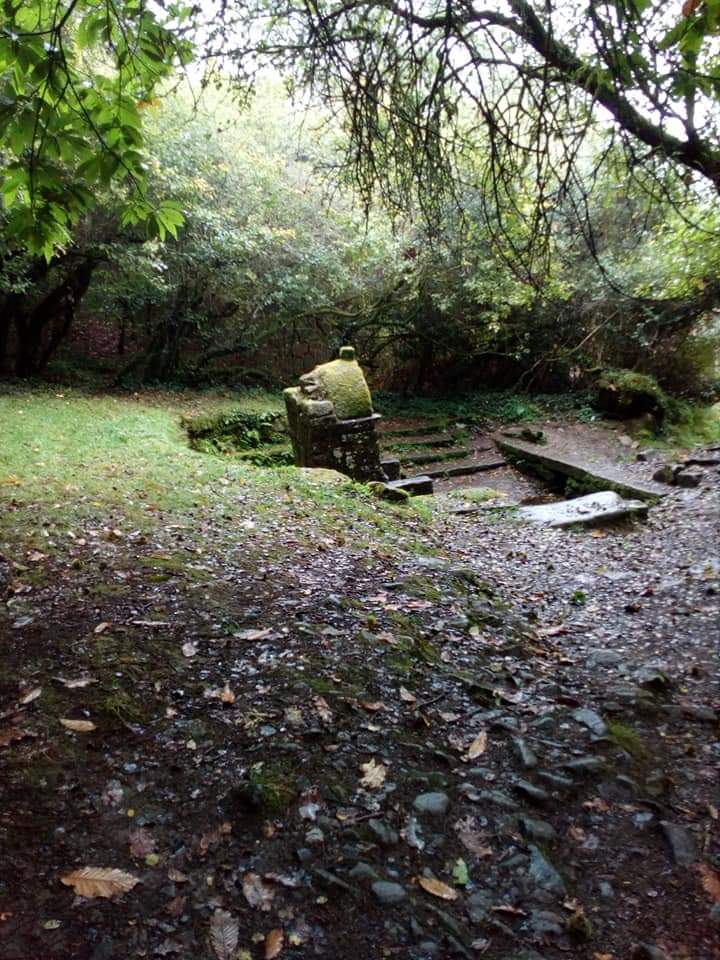 Photo n° 1 de l'avis de ISABELLE.E fait le 27/11/2021 à 10:36