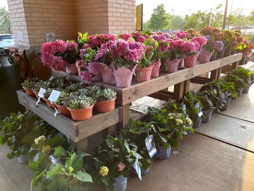 Grocery Store «Whole Foods Market», reviews and photos, 12601 Hill Country Blvd, Bee Cave, TX 78738, USA