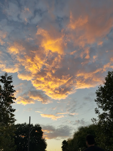 Park «Dellview Park», reviews and photos, 500 Basswood Dr, San Antonio, TX 78213, USA