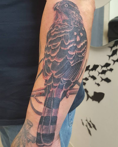 Tattoo Shop «Bad Fish Tattoo», reviews and photos, 197 Liberty Square, Norwalk, CT 06855, USA