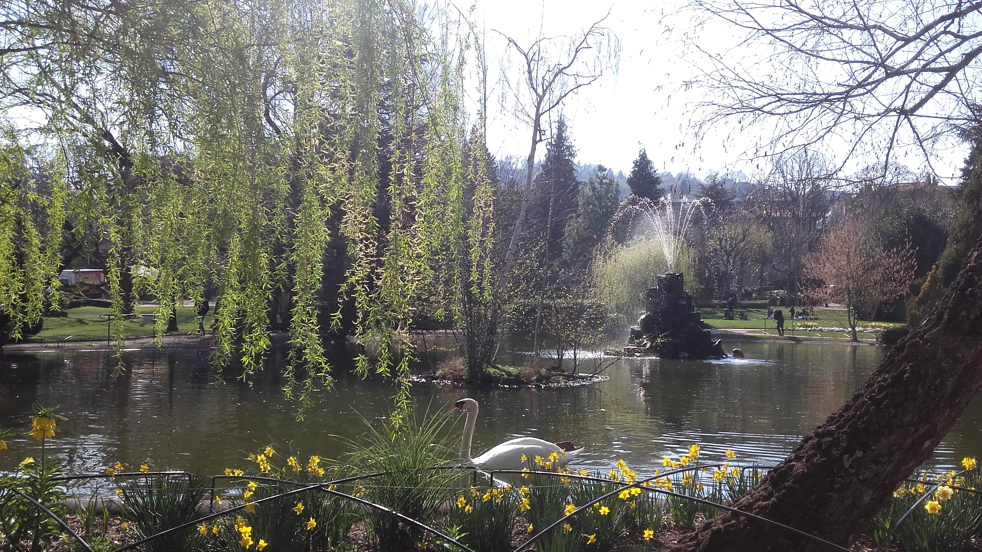 Photo n° 3 de l'avis de Stephanie.r fait le 13/04/2019 à 15:00