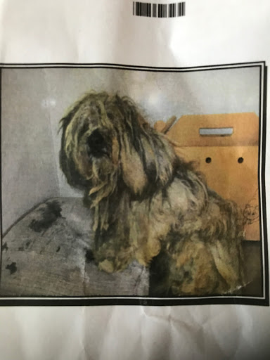 1 Love Dog Rescue image