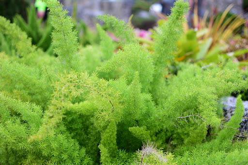 Tourist Attraction «Coral Castle», reviews and photos, 28655 S Dixie Hwy, Homestead, FL 33033, USA