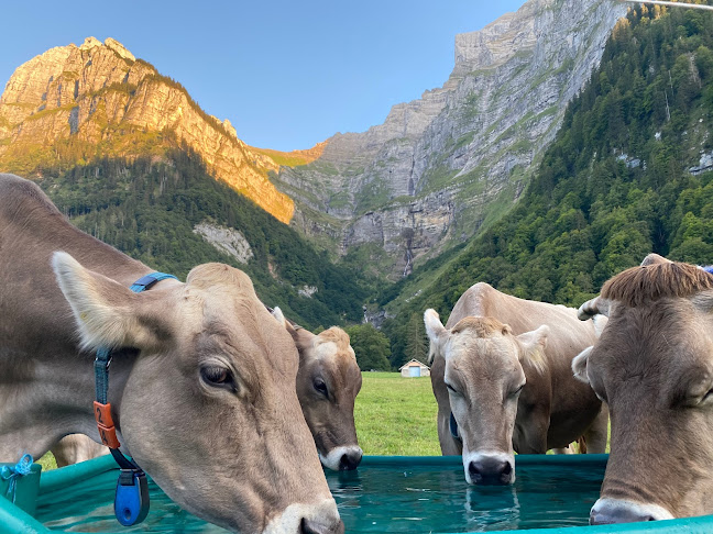 Morchen's Hof Öffnungszeiten