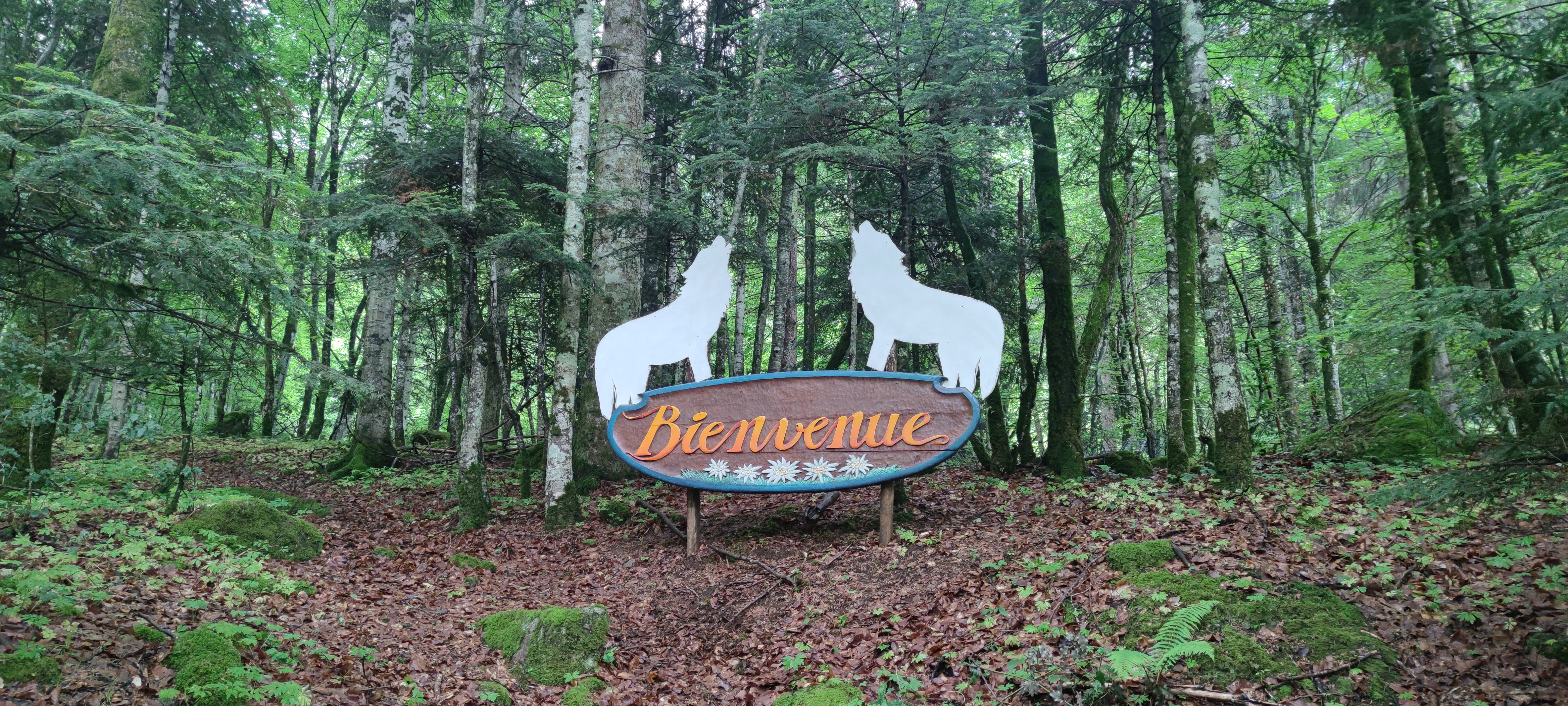 Photo n° 4 de l'avis de Marine.o fait le 21/05/2023 à 12:05