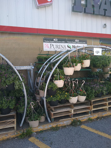 Home Improvement Store «Tractor Supply Co.», reviews and photos, 6015 S Transit Rd, Lockport, NY 14094, USA