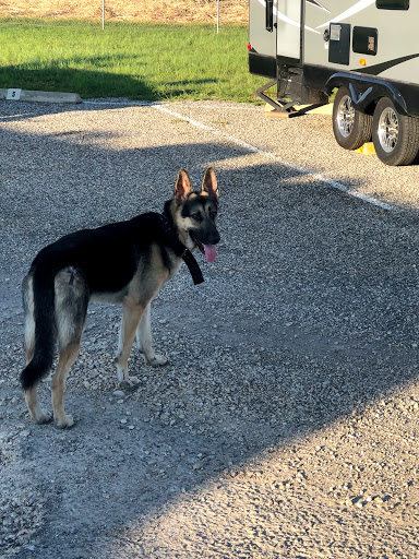 Self-Storage Facility «Lockaway Storage», reviews and photos, 200 Roy Richard Dr, Schertz, TX 78154, USA