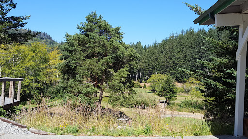 Golf Course «Cedar Bend Golf Course», reviews and photos, 34391 Cedar Valley Dr, Gold Beach, OR 97444, USA