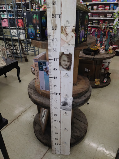 Hardware Store «Great Lakes Ace Hardware», reviews and photos, 3830 E 13 Mile Rd, Warren, MI 48092, USA