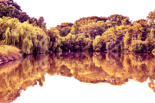 Park «Kissena Park», reviews and photos, 164-15 Booth Memorial Ave, Fresh Meadows, NY 11365, USA