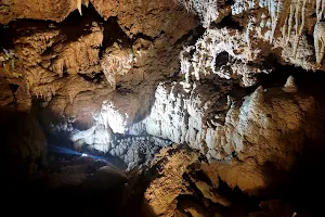 Lake Shasta Caverns image