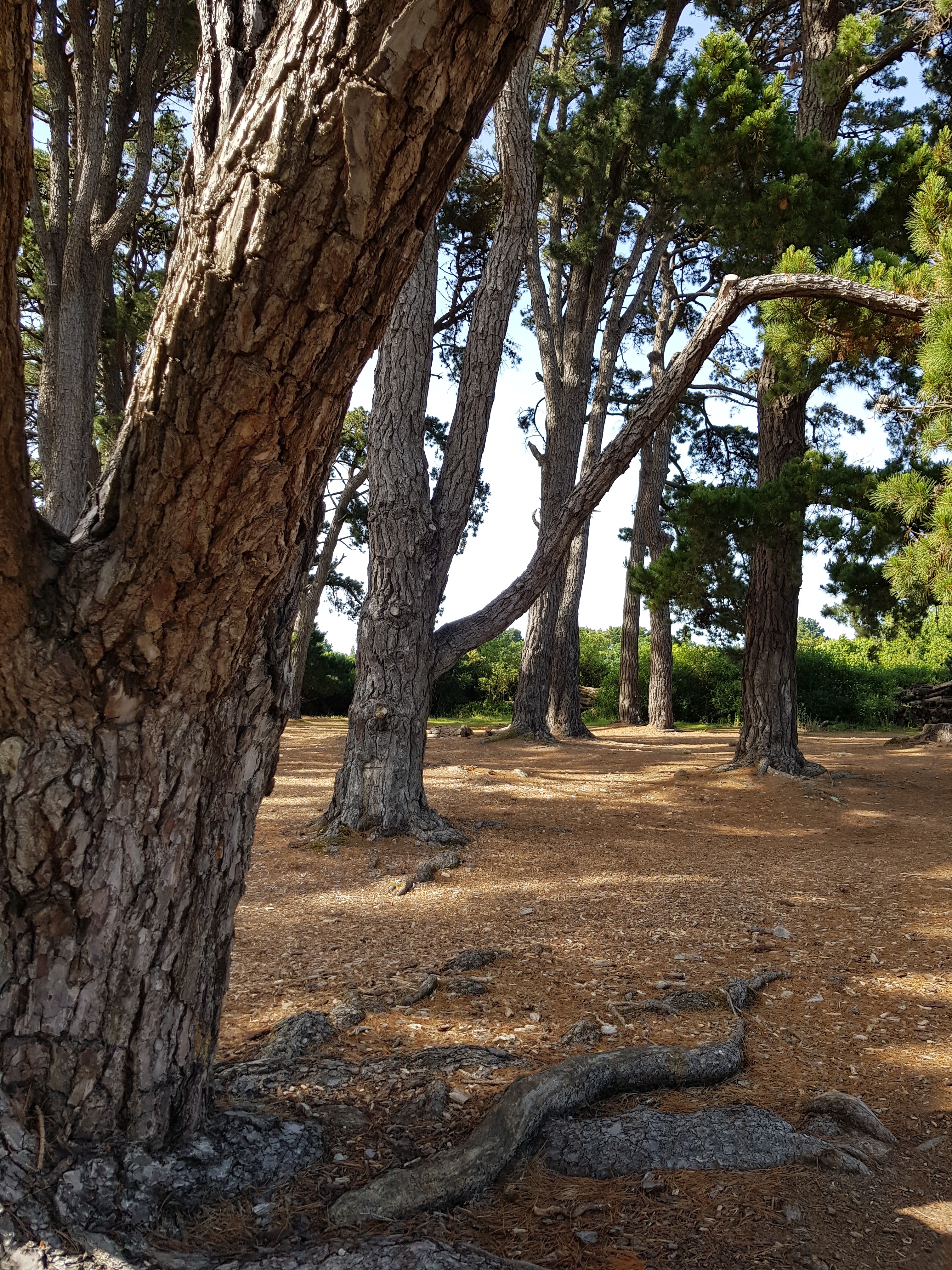 Photo n° 2 de l'avis de CHRIST.I fait le 22/05/2022 à 11:35