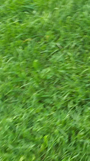 Recreation Center «Armatage Recreation Center», reviews and photos, 2500 W 57th St, Minneapolis, MN 55410, USA