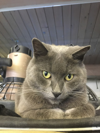 SCUBA Instructor «Tropical Adventures Scuba & Travel», reviews and photos, 3615 Portola Dr, Santa Cruz, CA 95062, USA