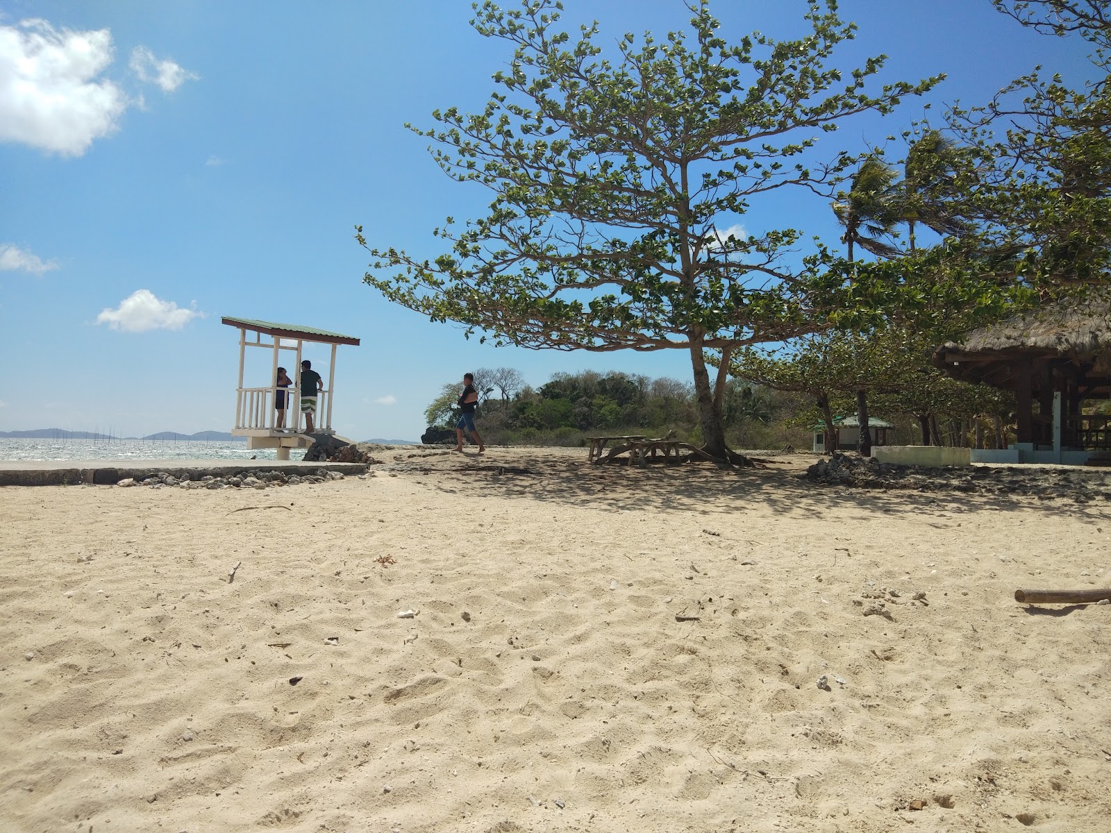 Foto af Aslom Island Beach og bosættelsen