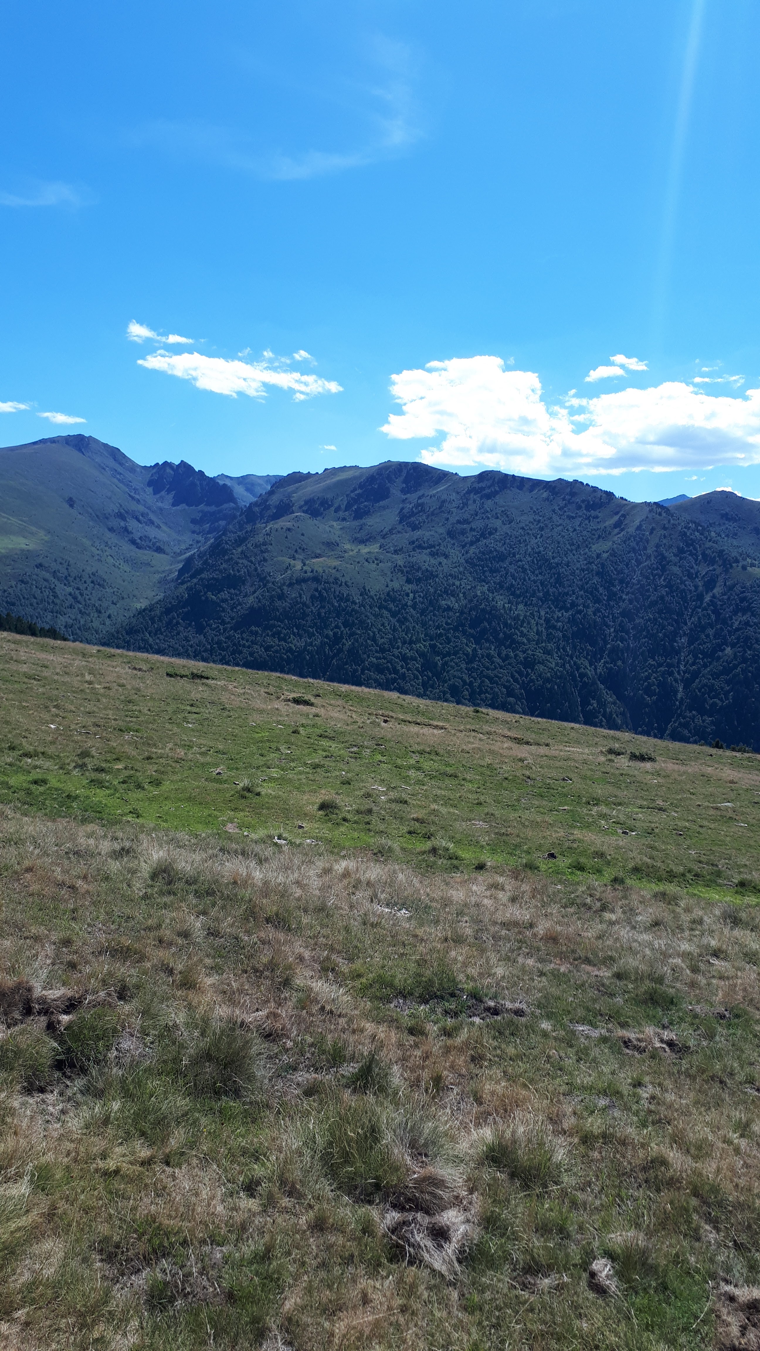Photo n° 9 de l'avis de Christophe.e fait le 16/08/2019 à 17:19