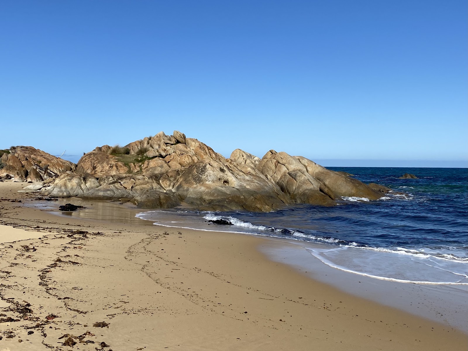 Φωτογραφία του Salmon Beach άγρια περιοχή