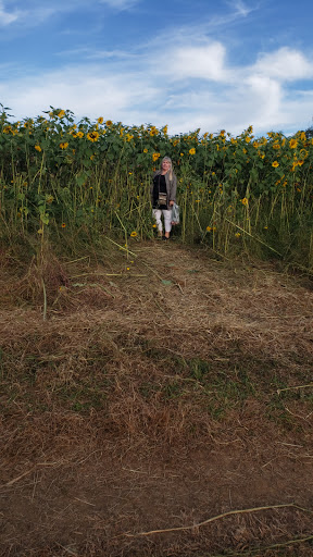 Winery «Echo Hill Orchards & Winery», reviews and photos, 101 Wilbraham Rd, Monson, MA 01057, USA