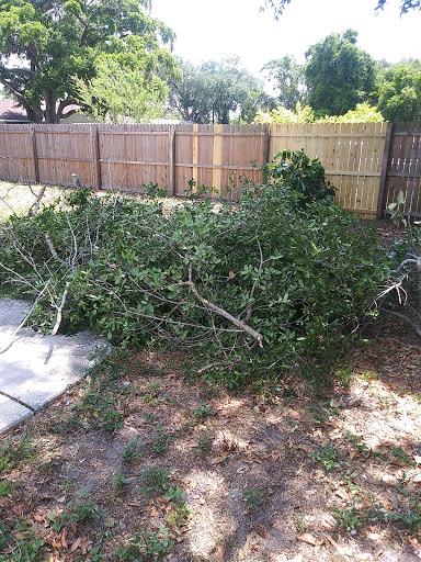 Motor Scooter Dealer «Green Machine Scooters», reviews and photos, 4499 S Orange Blossom Trail, Kissimmee, FL 34746, USA