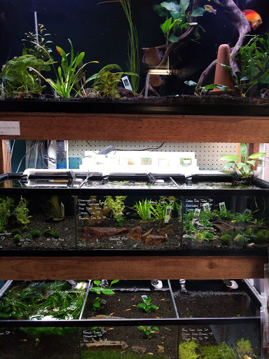 Pet Store «Sand Bar Pet Shop», reviews and photos, 25571 Marguerite Pkwy, Mission Viejo, CA 92692, USA