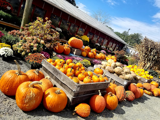 Garden Center «Nalls Produce», reviews and photos, 7310 Beulah St, Alexandria, VA 22315, USA