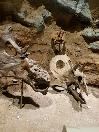 Performing Arts Theater «Carnegie Music Hall», reviews and photos, 4400 Forbes Ave, Pittsburgh, PA 15213, USA