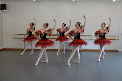 Institut d'Art Chorégraphique à Surgères