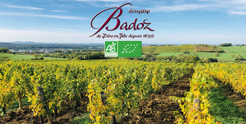 DOMAINE BADOZ voir boutique BADOZ Vins & Fromages à Poligny