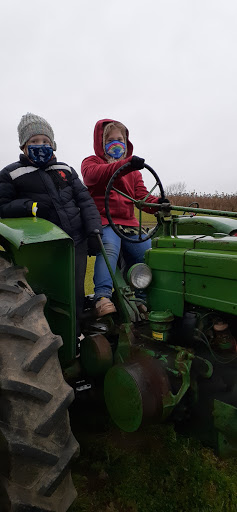 Tourist Attraction «Shawhaven Farm», reviews and photos, 1826 Rolfe Rd, Mason, MI 48854, USA