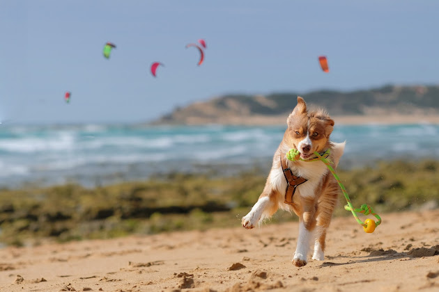 Les plus récentes Apartamento turístico Alma Caños de Meca 11159 Los Caños de Meca