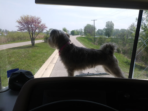 Downtown Hound Grooming & Pet